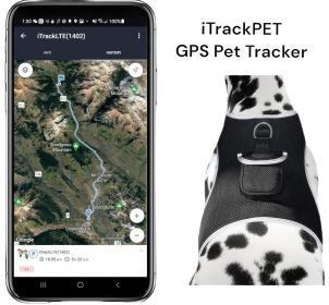 Realtime GSM GPRS Waterproof Pet Tracker for Dogs/Cats with Phone App Size:M
