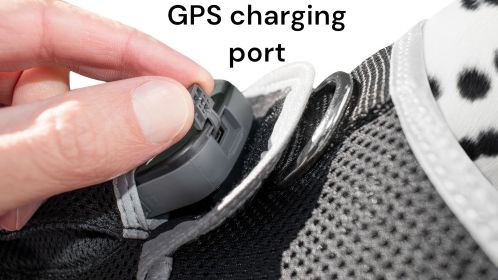 Reputable Dog Track Realtime System Rechargeable GPS Pet Finder Tracking Gadget Size:M