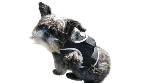 Mini Wireless GPS Dog Collar Tracking Device Rechargeable Pet Tracker Size:M