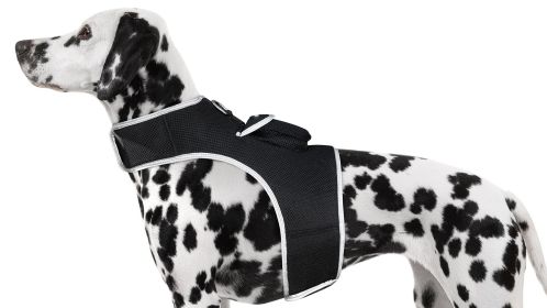 Locate Your Dog with Rechargeable Mini GPS Pet Collar Tracking Device Size:M