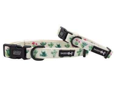 Sassy Woof Dog Collars (Color: Sass on Point, size: large)