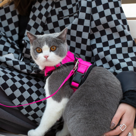 Mr. Peanut's PurrTrek Reflective Cat Harness with Matching Leash (Color: pink, size: X Small)