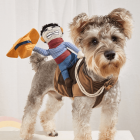Cowboy Rider Pet Costume, Funny Dog Costume For Small Medium Dogs & Cats, Pet Clothes (Color: Mixed Color, size: l)